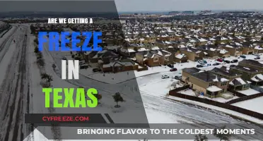 Texas Winter Forecast: Is a Freeze Coming Our Way?