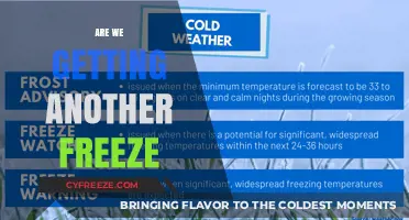 Another Freeze Incoming? Weather Predictions and What to Expect