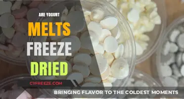 Exploring the Truth: Are Yogurt Melts Freeze-Dried?