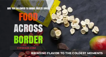 Border Bites: The Freeze-Dried Food Traveler's Guide