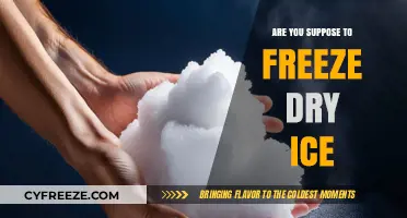 The Surprising Truth About Freezing Dry Ice: Yes or No?