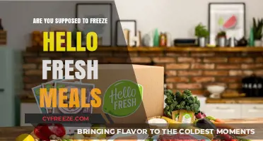 Fresh or Frozen: The Ultimate Guide to HelloFresh Meal Storage