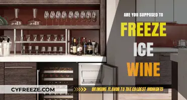 Chill or Freeze: The Ice Wine Storage Dilemma Explained