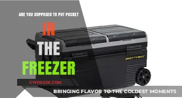 Chill or Not: The Pocket Freezer Debate Explained