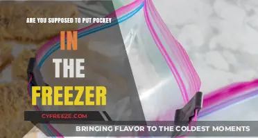 Pocket Storage 101: Freezer or Not?