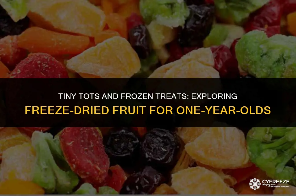 can 1 year old eat freeze dried fruit