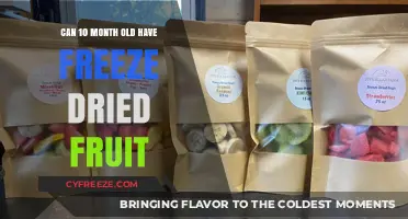 Exploring Healthy Snacks: Freeze-Dried Fruit for Your 10-Month-Old