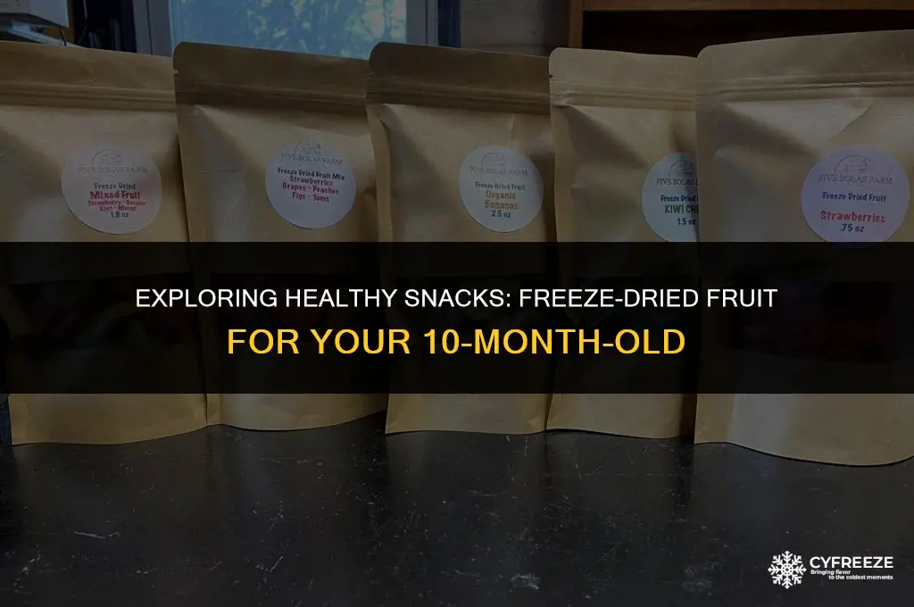 can 10 month old have freeze dried fruit