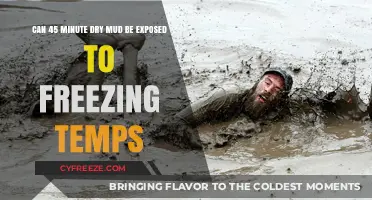 Can Quick-Dry Mud Survive Freezing Temps?