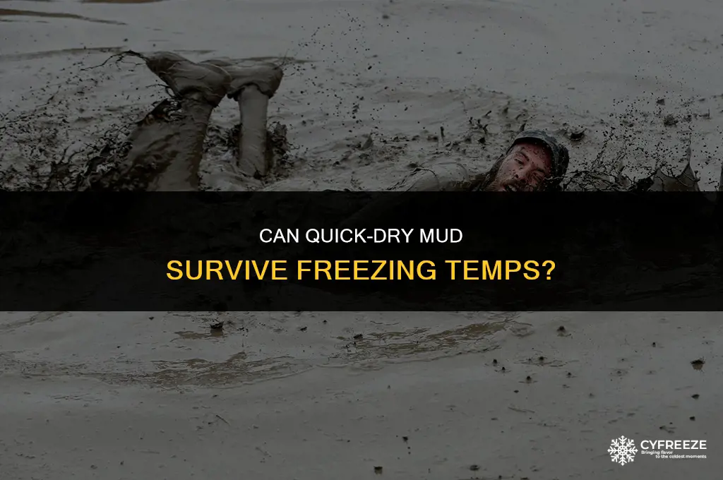 can 45 minute dry mud be exposed to freezing temps