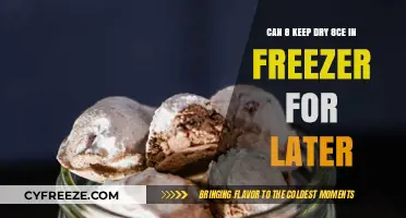 Reviving Frozen Treasures: The Ultimate Guide to Reheating Dry Ice Cream