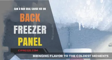 Can a Faulty Seal Lead to Ice Buildup on Your Freezer Panel?