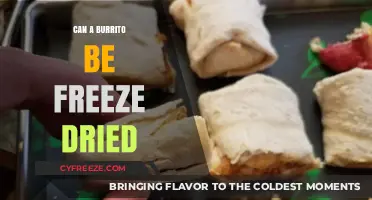 Exploring the Possibilities: Freeze-Drying Your Favorite Burrito