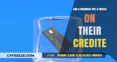 Safeguarding Credit: Can Businesses Implement a Credit Freeze?