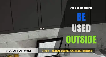 Using a Chest Freezer Outdoors: Tips, Risks, and Best Practices