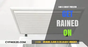 Can a Chest Freezer Withstand Rain? Essential Outdoor Storage Tips