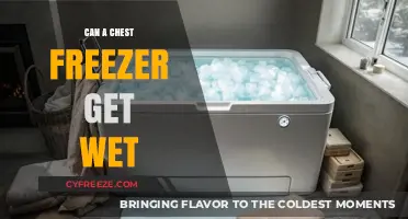 Can a Chest Freezer Get Wet? Safety Tips and Risks Explained