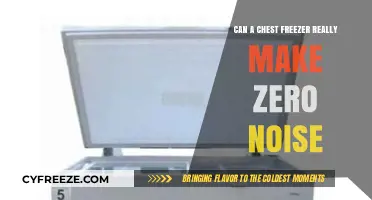 Silent Storage: The Truth About Zero-Noise Chest Freezers