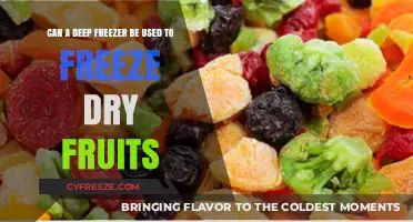 Exploring the Use of Deep Freezers for Freeze-Drying Fruits