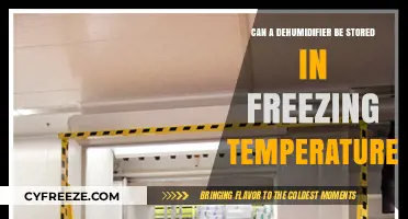 Storing Dehumidifiers in Freezing Temps: Risks and Best Practices