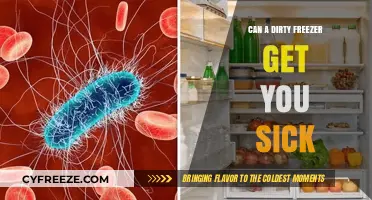 Dirty Freezer Dangers: Can Neglect Lead to Foodborne Illness?