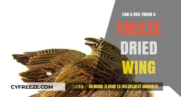 Canine Tracking Abilities: The Freeze-Dried Wing Challenge