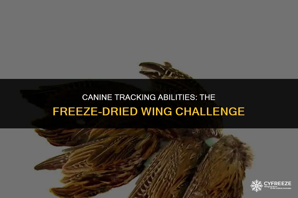 can a dog track a freeze dried wing