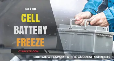 Exploring the Limits: Can Dry Cell Batteries Freeze?