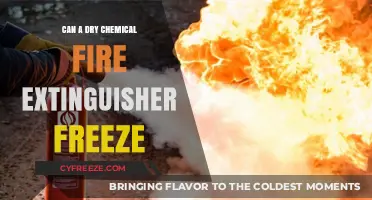 Can Dry Chemical Fire Extinguishers Freeze? Facts and Safety Tips