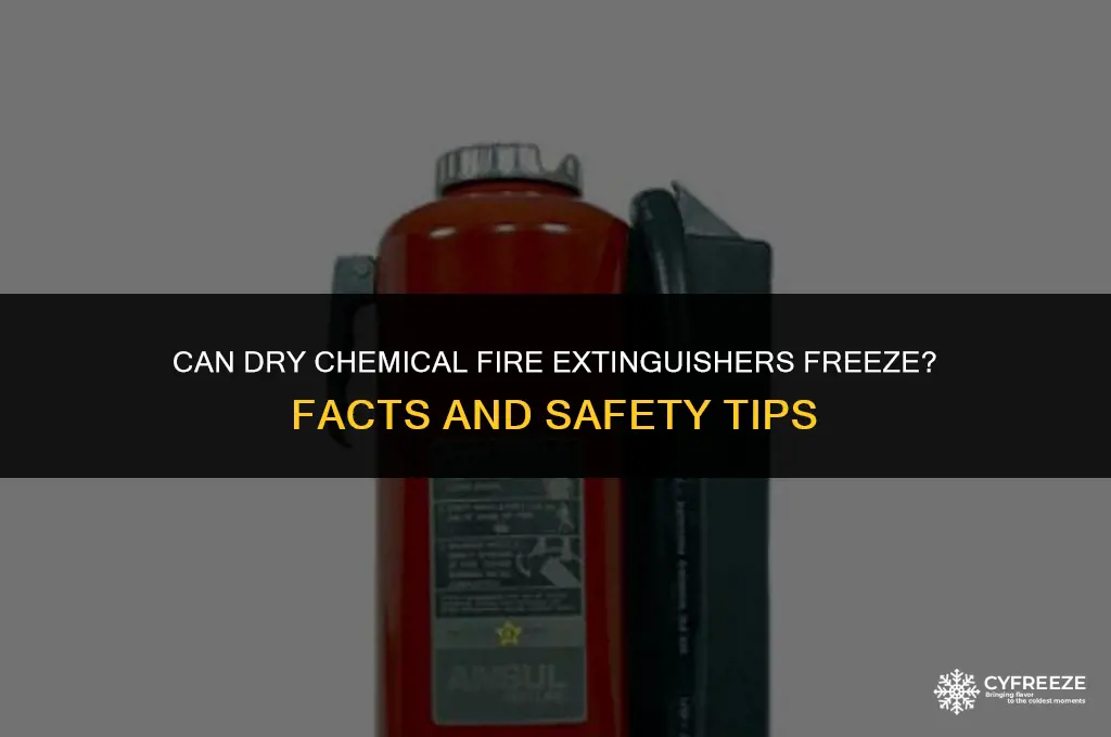 can a dry chemical fire extinguisher freeze