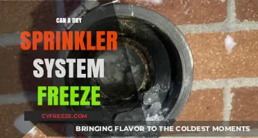 Winterizing Your Dry Sprinkler System: Preventing Freeze-Related Issues
