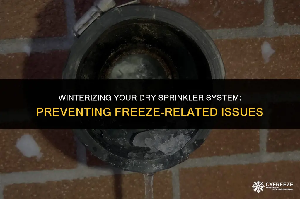 can a dry sprinkler system freeze