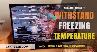 Can Flat Screen TVs Survive Freezing Temperatures? Expert Insights