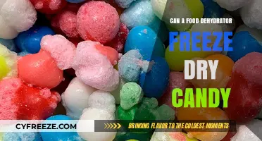 Exploring the Sweet Possibilities: Can a Food Dehydrator Freeze Dry Candy?