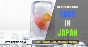 Egg Freezing in Japan: Options and Guidelines for Foreigners