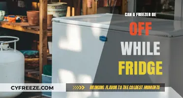 Exploring Energy Efficiency: Can Your Freezer Be Off While Your Fridge Stays On?