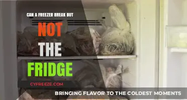 Why Your Freezer Might Fail While Your Fridge Keeps Going