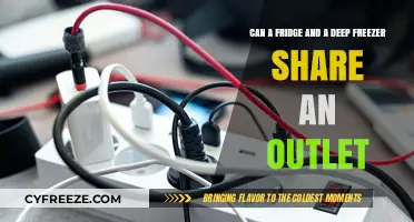 Safe Power Sharing: Can Your Fridge and Deep Freezer Use One Outlet?