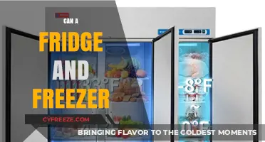 Exploring the Possibilities: Can a Fridge and Freezer Combo Enhance Your Kitchen?