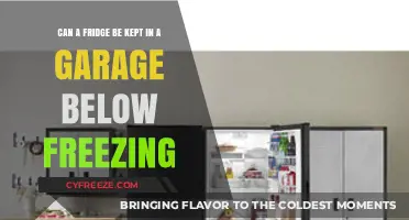 Chilly Considerations: Garage Fridge Survival in Sub-Zero Temps