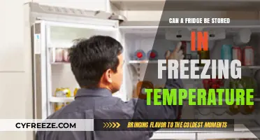 Storing Your Fridge in Freezing Temps: Safe or Risky Move?