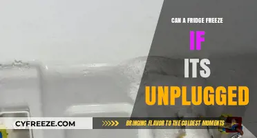Unplugged and Unfrozen: The Truth About Refrigerator Freezing