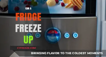 Chill or Freeze: Understanding Your Fridge's Cold Capabilities