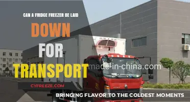 Transporting Your Fridge Freezer: To Lay Down or Not?