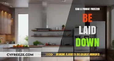 Exploring the Myth: Is It Safe to Lay Down a Fridge Freezer?