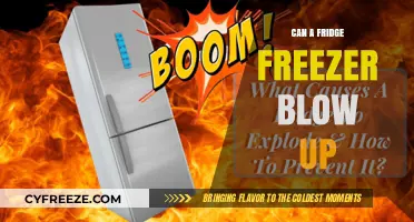 Exploding Fridge Freezers: Myth or Reality?