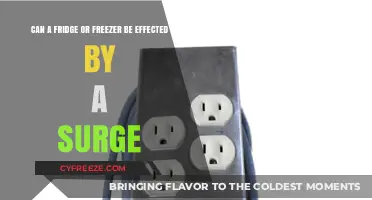 Protecting Your Fridge and Freezer from Power Surges: A Guide