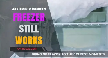 Why Your Fridge Might Quit While the Freezer Keeps Going