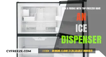 Chill Convenience: Top Freezer Fridges with Ice Dispensers Explained