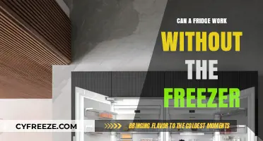 Exploring the Possibility: Can a Fridge Function Without a Freezer?